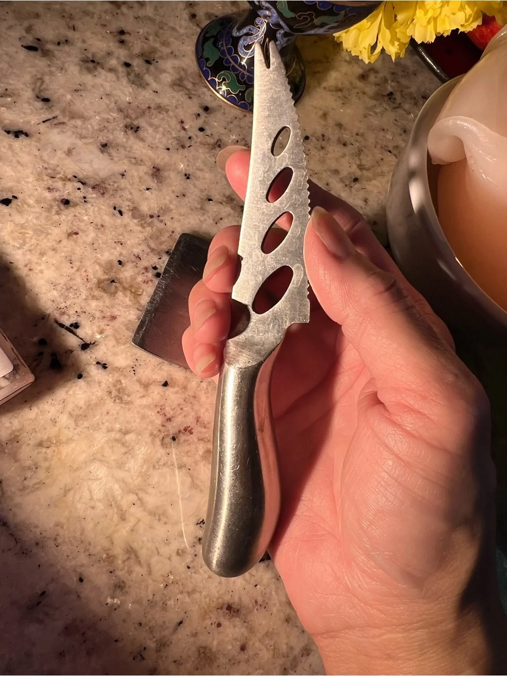 Stainless Steel Cheese Knife and Spreader Set of two
